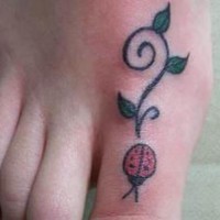 Tatuaggio colorato sul dito del piede la coccinella e la pianta