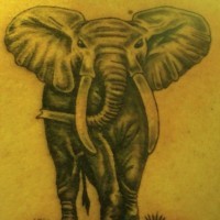 Simple painted big colored elephant tattoo on back