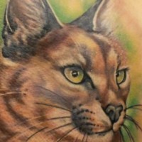 semplice realistico dipinto colorato gatto selvatico tatuaggio su spalla