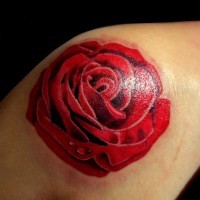 Simple usual colored big rose tattoo on shoulder
