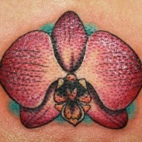 Single super realistic purple orchid tattoo