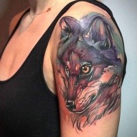 Sketch art style colored upper arm tattoo of original looking wolf