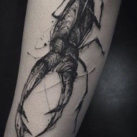 Sketch style black ink forearm tattoo of big bug