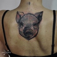 Sketch style colored upper back tattoo of little pig head
