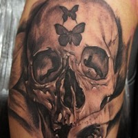 Skull and butterfly on forehead  tattoo