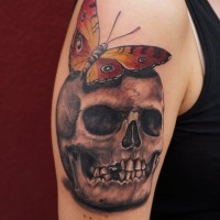 Skull with butterfly tattoo by graynd