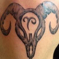 Skull of a bull tattoo on shoulder