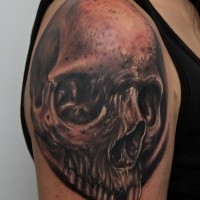 Detailed skull tattoo on shoulder by graynd