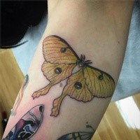 Small beautiful looking arm tattoo of flying butterfly