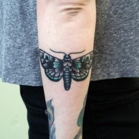 Small beautiful looking arm tattoo of cute butterfly