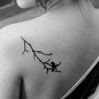 piccolo uccello su ramo tatuaggio su spalla