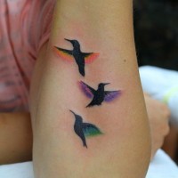 Small birds tattoos with different colour wings