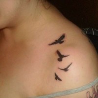 piccoli uccelli neri tatuaggio su spalla di ragazza