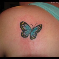 piccola farfalla blu tatuaggio su spalla per ragazza