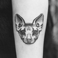 Small dot style forearm tattoo of sphinx cat head