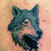 Tatuaggio piccolo la testa del lupo grigio