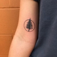 Small size pine tree in circle black ink tattoo on biceps