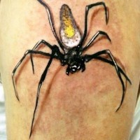 Small spider  tattoo with yellow belly