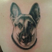 Smart german shepherd tattoo design for woman