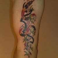 Snake creeping on a reed tattoo in colour