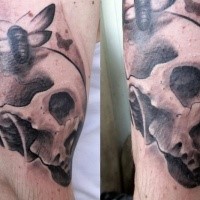 Spectacular black and gray style arm tattoo of human skull and butterfly