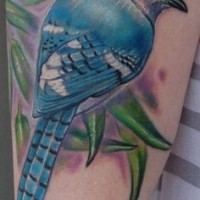 Tatuaje  de pájaro azul bonito en el brazo