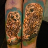 Spectacular looking realism style colored and detailed forearms tattoo of owl babies