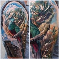 Spectacular multicolored shoulder tattoo of Mayan pyramid with parrot