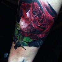Spektakuläres im Realismus Stil farbiges Arm Tattoo der Rose Blume