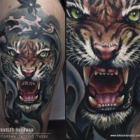 Spectacular realism style colored thigh tattoo of roaring tiger