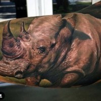 Spektakuläres sehr detailliertes buntes Arm Tattoo mit massivem natürlichem Nashorn