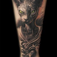 Tatuaje de gato de sphynx severo con ojos verdes