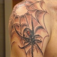 Spider and spider web tattoo on shoulder