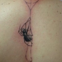 Spider weaves a web of tattoos on back