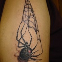 Spider weaves a web tattoo on hand