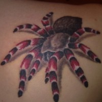 Spider with red legs tattoo
