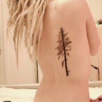 Spruce tattoo on back
