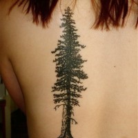 Tatuaje en la espalda de un árbol abeto.