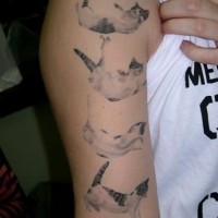 Stages of falling cat tattoo on half sleeve