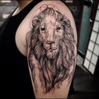 Stonework style colored shoulder tattoo of lion