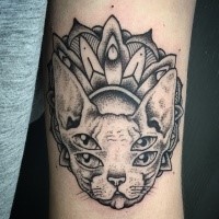 Tatuagem de braço de estilo de blackwork estranha olhando de cabeça de gato de esfinge com ornamento floral por Michele Zingales