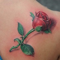 Tatuaje en el hombro,
rosa con tallo con espinas y hojas