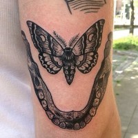 Tatuaje en el brazo, mandíbula humana con polilla, colores negro blanco