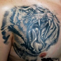 Stunning black and white very detailed chest tattoo of roaring tiger head