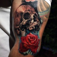 Tatuaje en el brazo, cráneo viejo agrietado con rosa linda