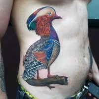 Atemberaubend aussehendes farbiges Seite Tattoo mit interessant aussehendem Vogel
