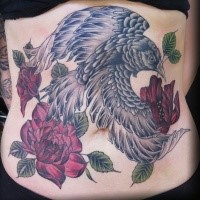 Stunning multicolored belly tattoo of dark bird and roses