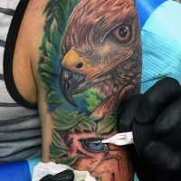 Stunning painted and colored unfinished wild life with eagle tattoo on arm