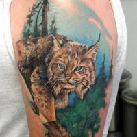 stupendo dipinto colorato molto realistico gatto selvatico tatuaggio su spalla