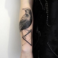 Stunning realistic looking bird with triangle tattoo on arm